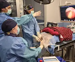 VSOS Medicine Team