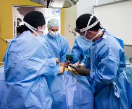 VSOS Emergency Critical Care Home